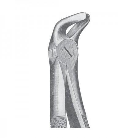 EXTRACTING FORCEPS 'ENGLISH PATTERN'